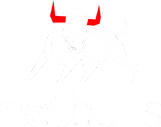 Netbulls
